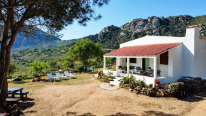 K&K House Olbia